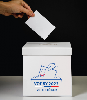 Výsledky volieb do orgánov samosprávy mesta 1